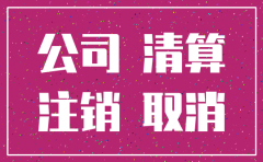公司注销报纸公示内容