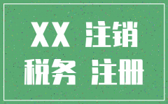 地税公司注销申请书