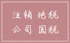 没有核国税地税怎么注销公司