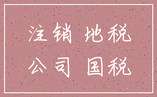 注销 地税_公司 国税