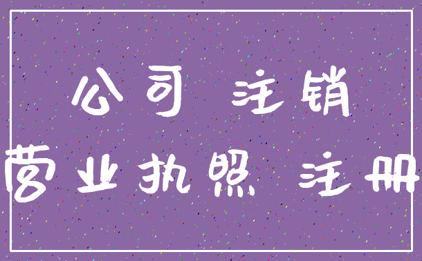公司 注销_营业执照 注册