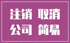 2017年销售公司注销