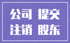 一人有限公司注销 知乎