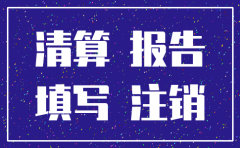 浙江注销公司清算报告