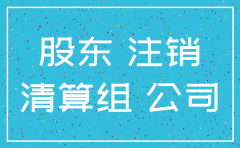 全资子公司注销申请书