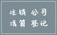 法人申请注销公司范本