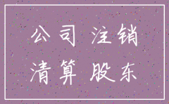 公司注销能否做原告