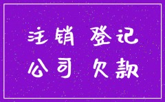 一人公司注销程序欠款