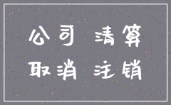 芜湖的分公司注销需要怎么办理流程