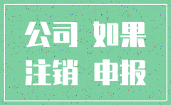 无经营公司注销情况说明