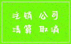 国企全资子公司注销程序