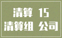注销公司追查几年的账