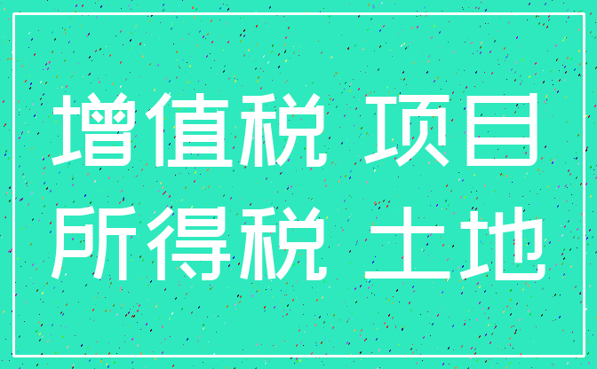 增值税 项目_所得税 土地