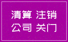 一人公司注销可否自行清算
