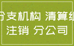设有分公司的总公司怎么注销