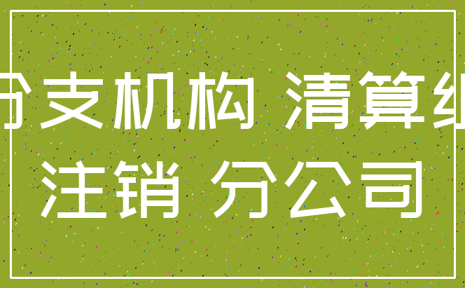 分支机构 清算组_注销 分公司