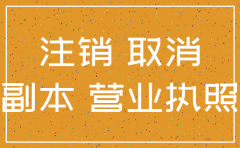 公司注销申报报告