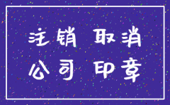 公司地税注销资料