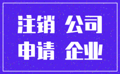 独资公司注销评估表