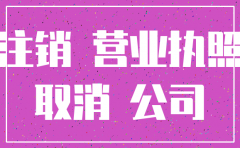 工商 分公司注销