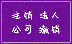 公司注销 撤销 吊销