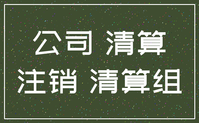 公司 清算_注销 清算组