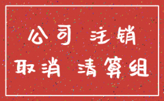 广州市代理注销公司