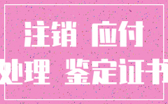 公司注销清算会计上要怎么处理