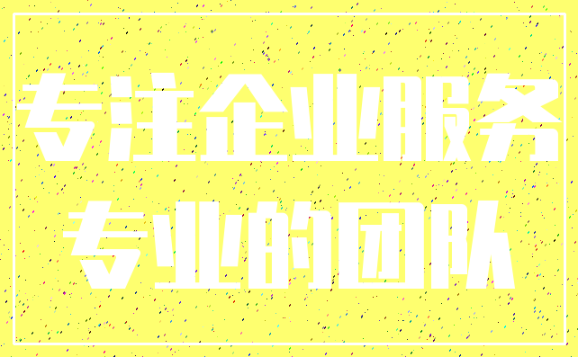 专注企业服务_专业的团队