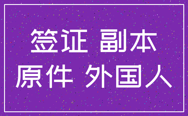 签证 副本_原件 外国人