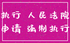 申请执行人公司注销 执行未结