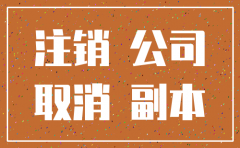 公司简易注销上传那些文件