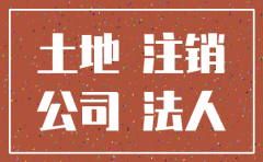 有限公司注销土地处置