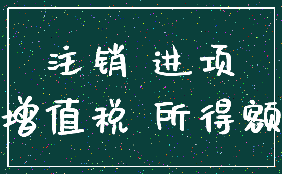 注销 进项_增值税 所得额