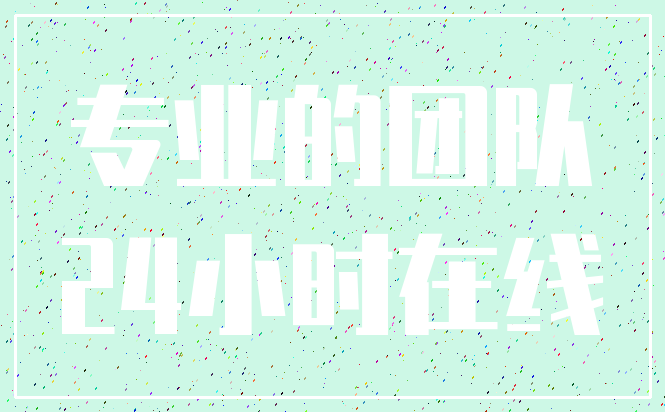 专业的团队_24小时在线