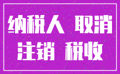 公司注销如何抄报税