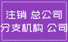 分公司 注销地税 总公司证明