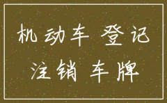 公司深圳公司注销 车牌如何处理