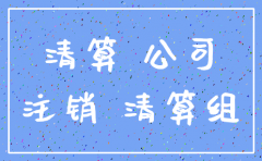 公司注销需要谁去
