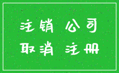 公司注册注销流程ppt