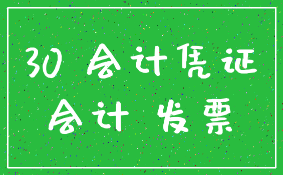 30 会计凭证_会计 发票