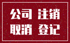 税务局  公司注销