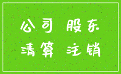 公司注销股东作为诉讼主体