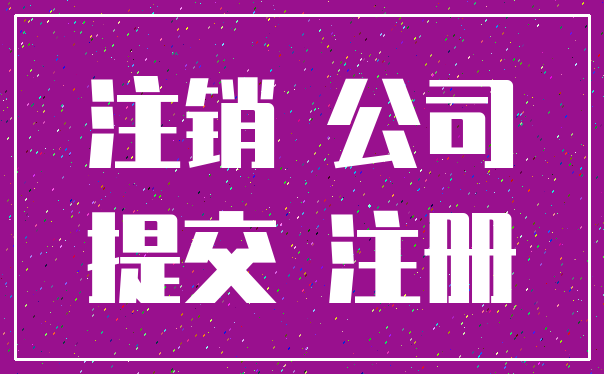 注销 公司_提交 注册