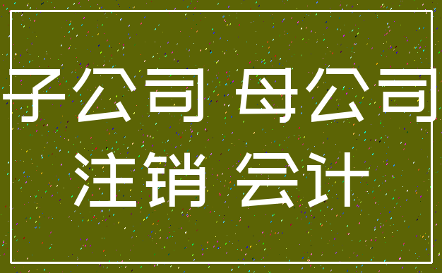 子公司 母公司_注销 会计
