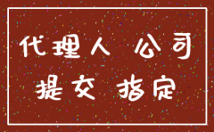 公司注销指定代表或委托代理人