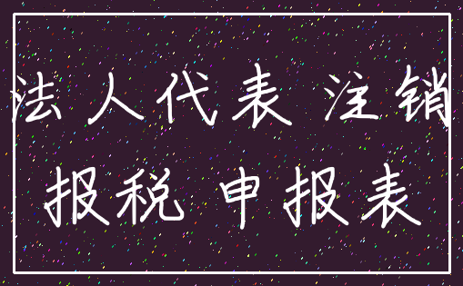 法人代表 注销_报税 申报表