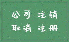 公司注销流费用