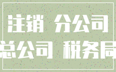 分公司注销 需总公司