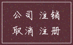 注销公司时税局要看凭证吗